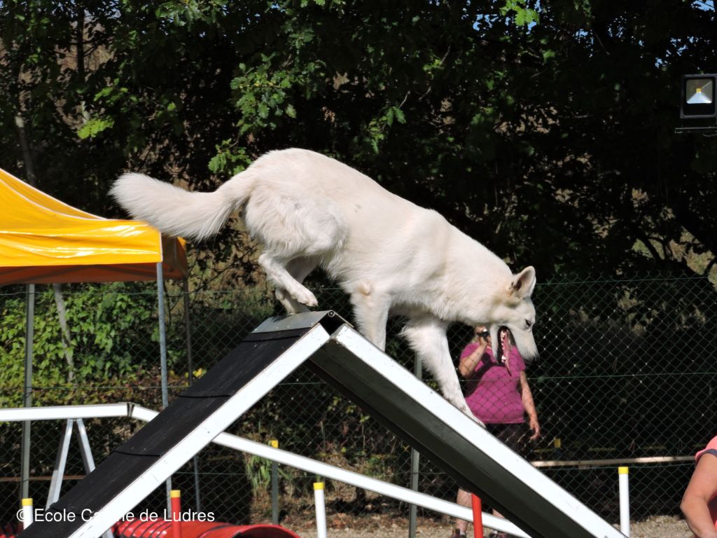 Minie Des P'tits Loups De Bertrichamps