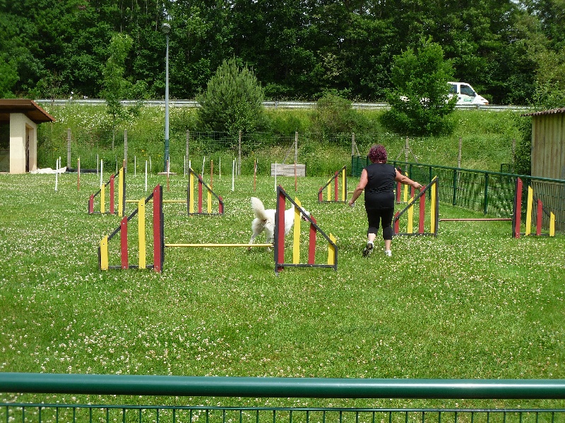 Agility Félia