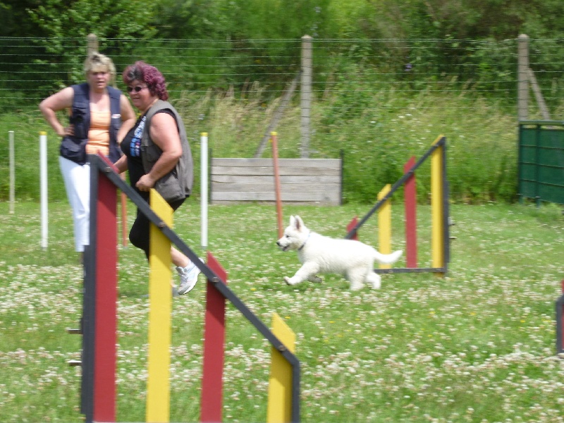 Agility Inès