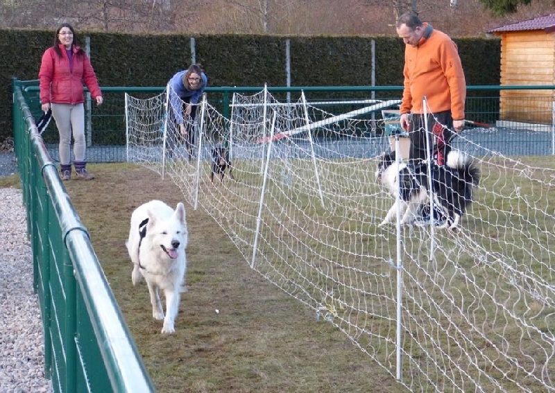 Fly-Ball